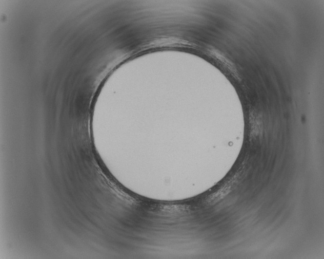 X0000073721322200608241222