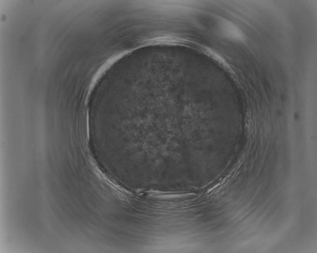 X0000073721323200608241222