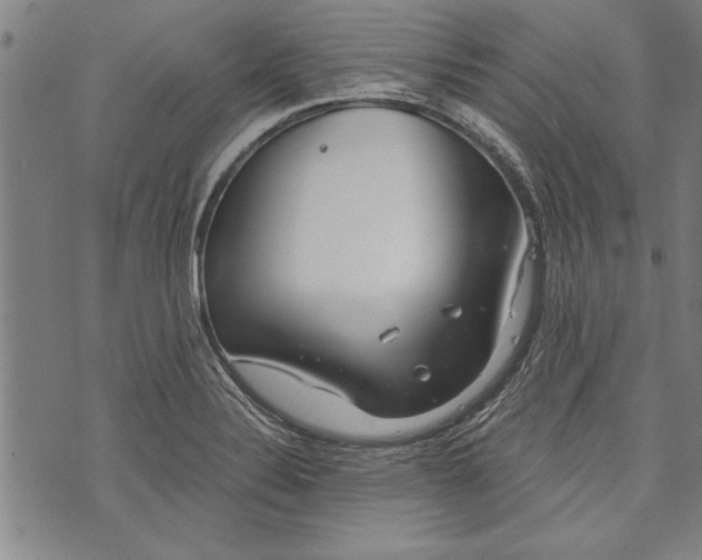 X0000073721324200608241222