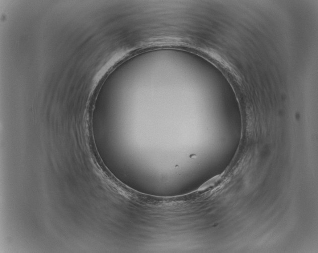 X0000073721325200608241222