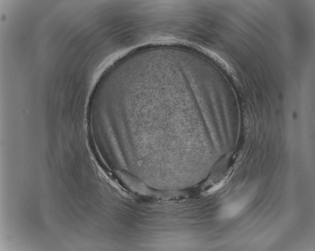 X0000073721327200608241222