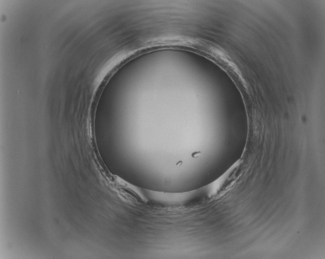 X0000073721328200608241222