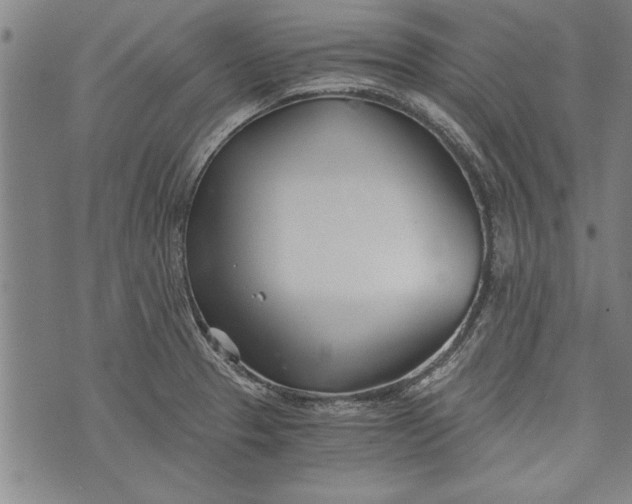 X0000073721329200608241222