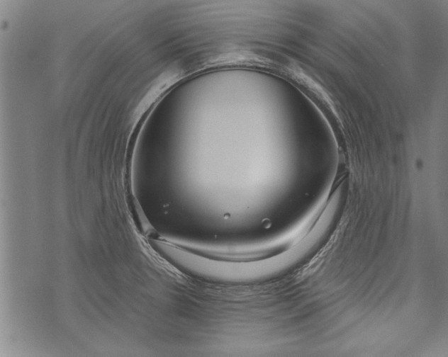 X0000073721330200608241222