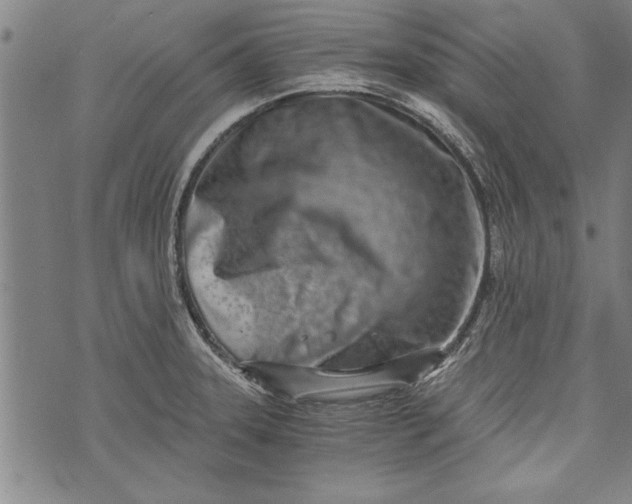 X0000073721331200608241222