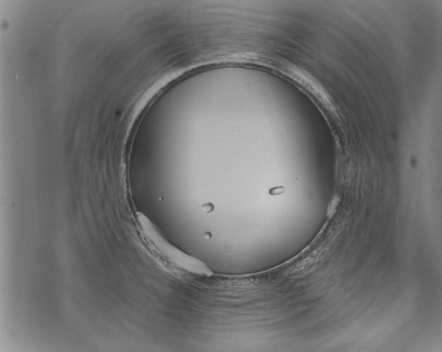 X0000073721332200608241222