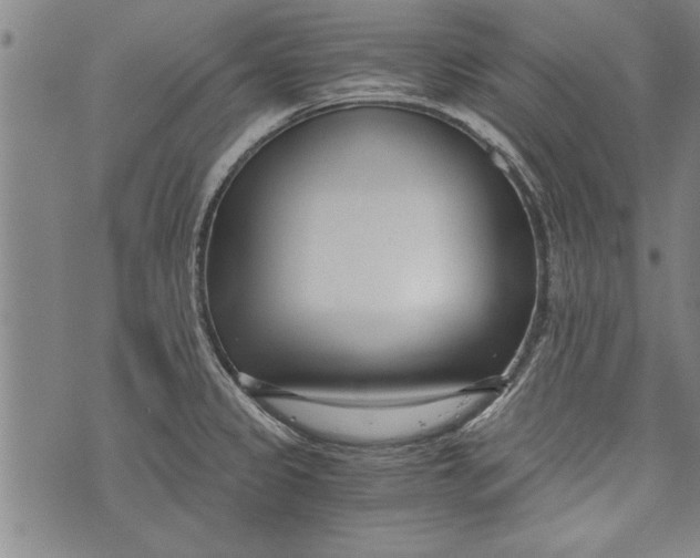 X0000073721333200608241222