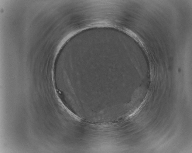 X0000073721334200608241222