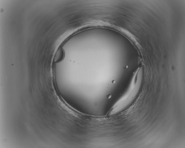 X0000073721335200608241222