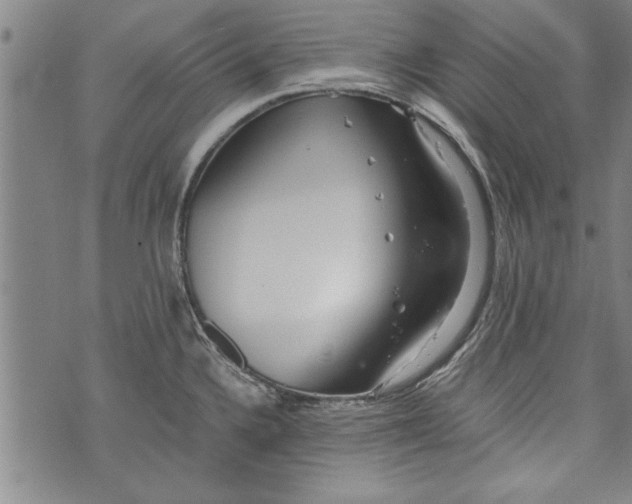 X0000073721336200608241222