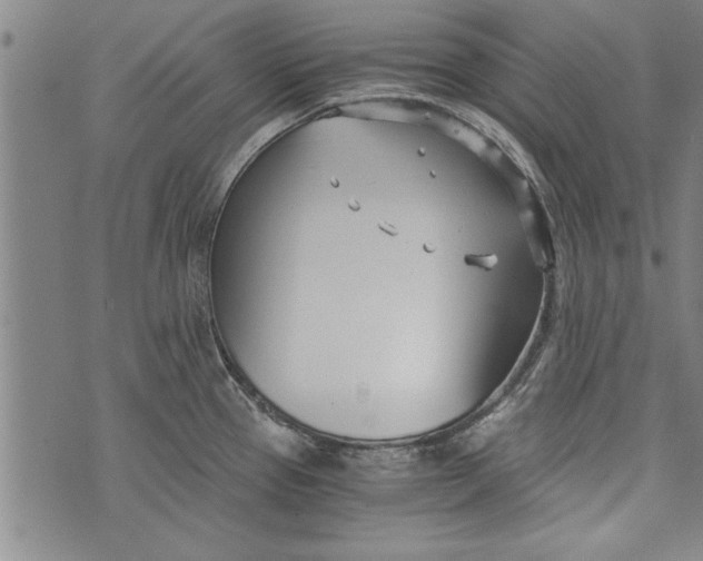 X0000073721337200608241222