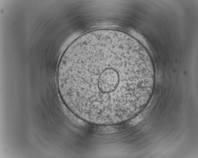 X0000073721338200608241222