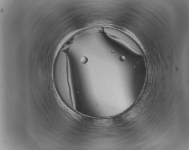 X0000073721339200608241222