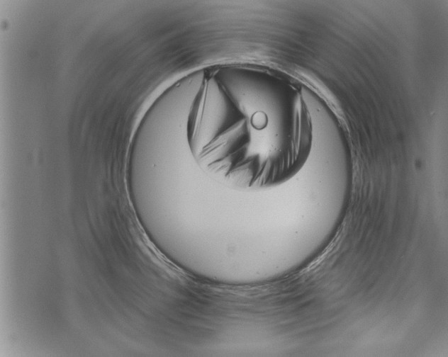 X0000073721340200608241222