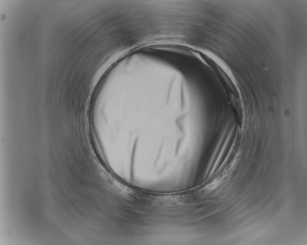 X0000073721341200608241222