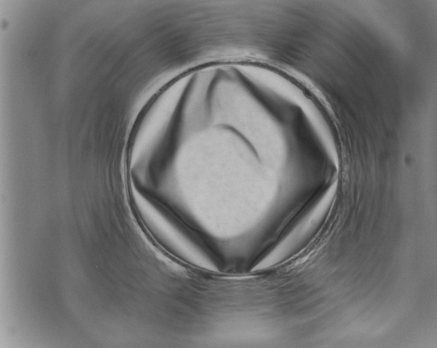 X0000073721343200608241222