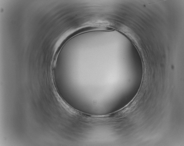 X0000073721344200608241222