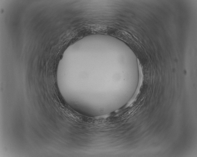 X0000073721345200608241222