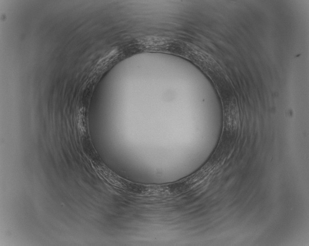 X0000073721346200608241222