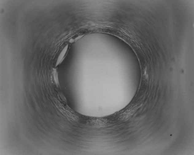 X0000073721348200608241222