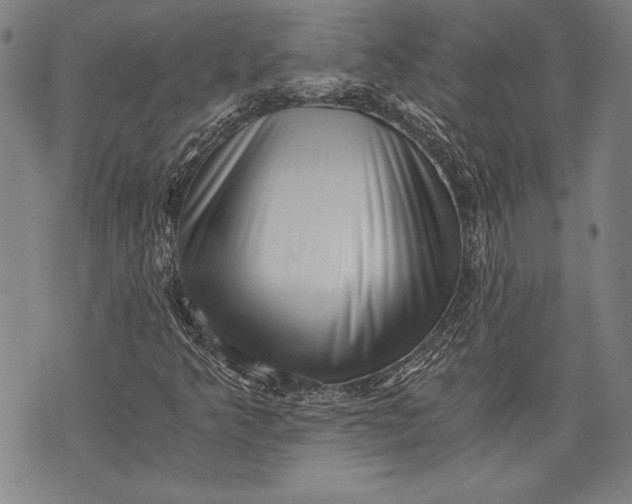 X0000073721349200608241221