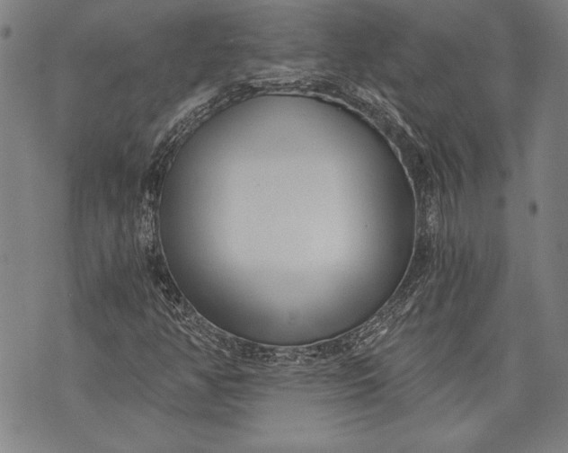 X0000073721350200608241221