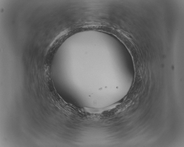 X0000073721351200608241221