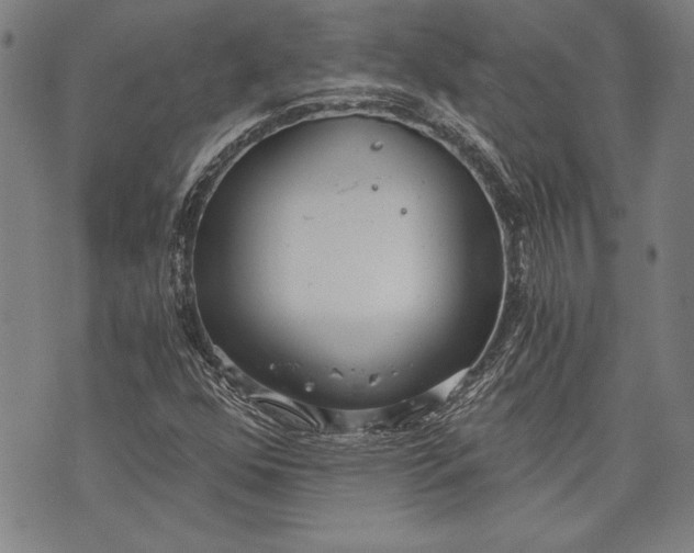 X0000073721352200608241221