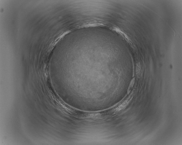 X0000073721353200608241221