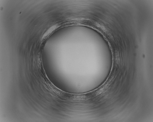 X0000073721354200608241221