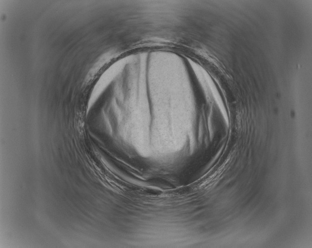 X0000073721355200608241221