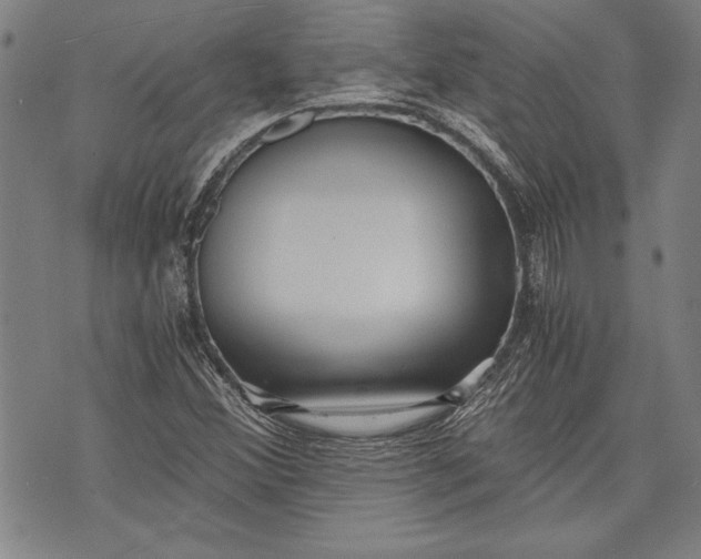 X0000073721356200608241221