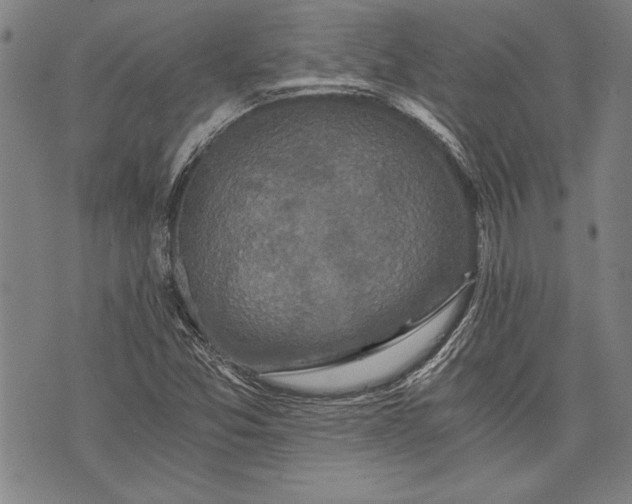 X0000073721357200608241221