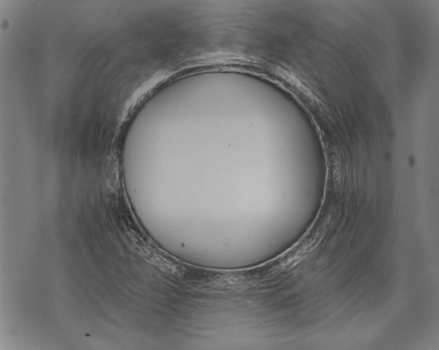 X0000073721358200608241221