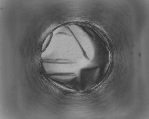 X0000073721359200608241221