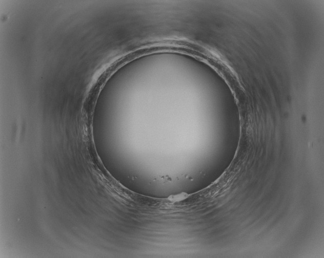 X0000073721360200608241221