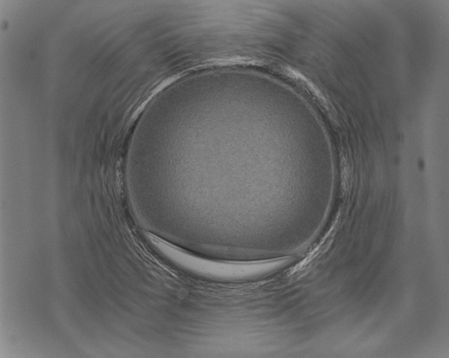 X0000073721361200608241221