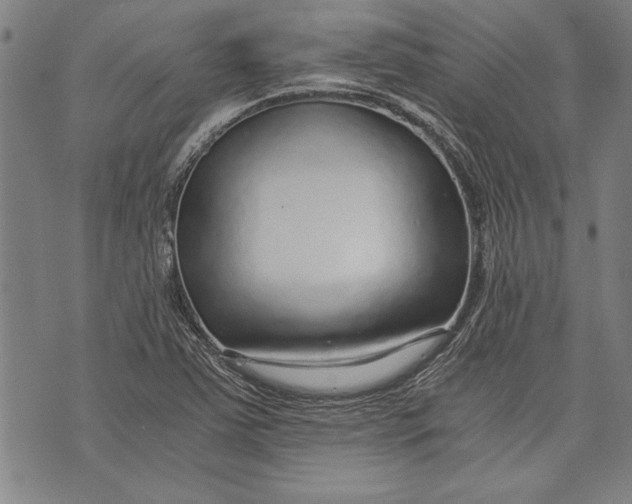 X0000073721363200608241221