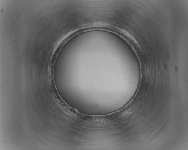 X0000073721364200608241221