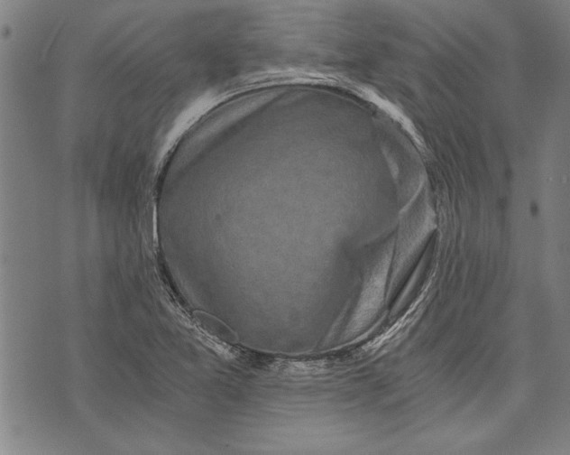 X0000073721365200608241221