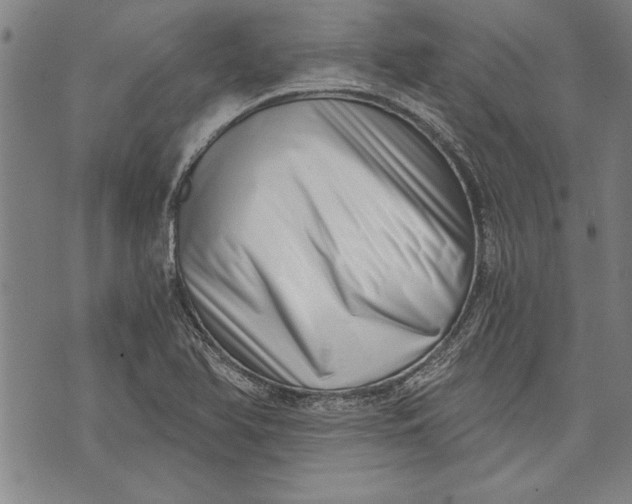 X0000073721366200608241221