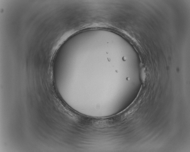 X0000073721367200608241221