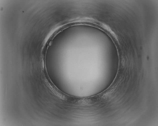 X0000073721368200608241221