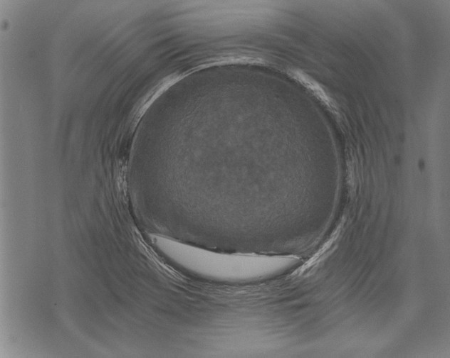 X0000073721369200608241221