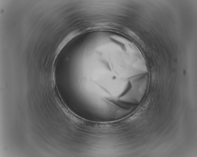 X0000073721370200608241221