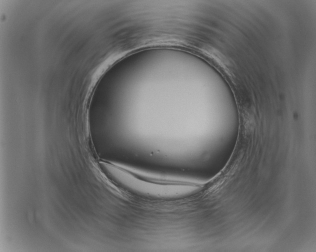 X0000073721371200608241221