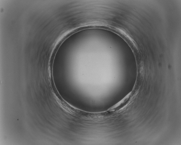 X0000073721372200608241221