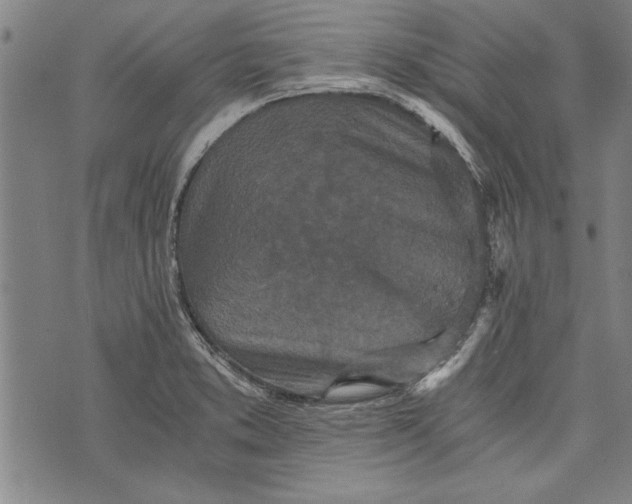 X0000073721373200608241221