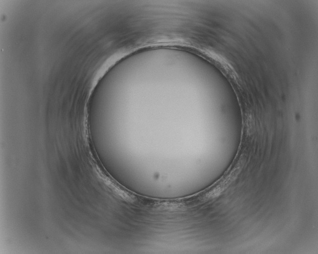 X0000073721374200608241221