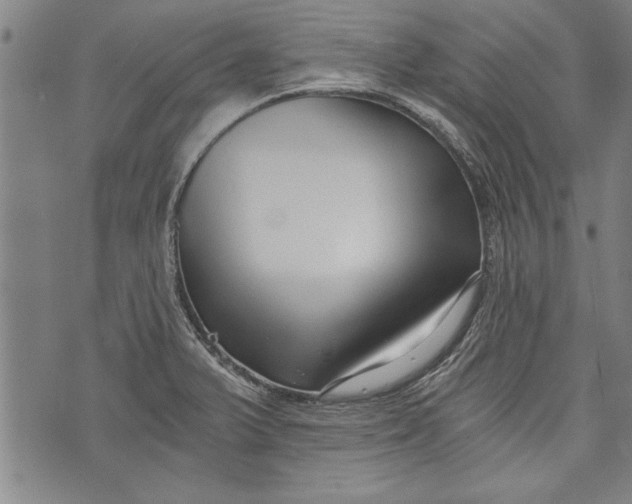 X0000073721375200608241221